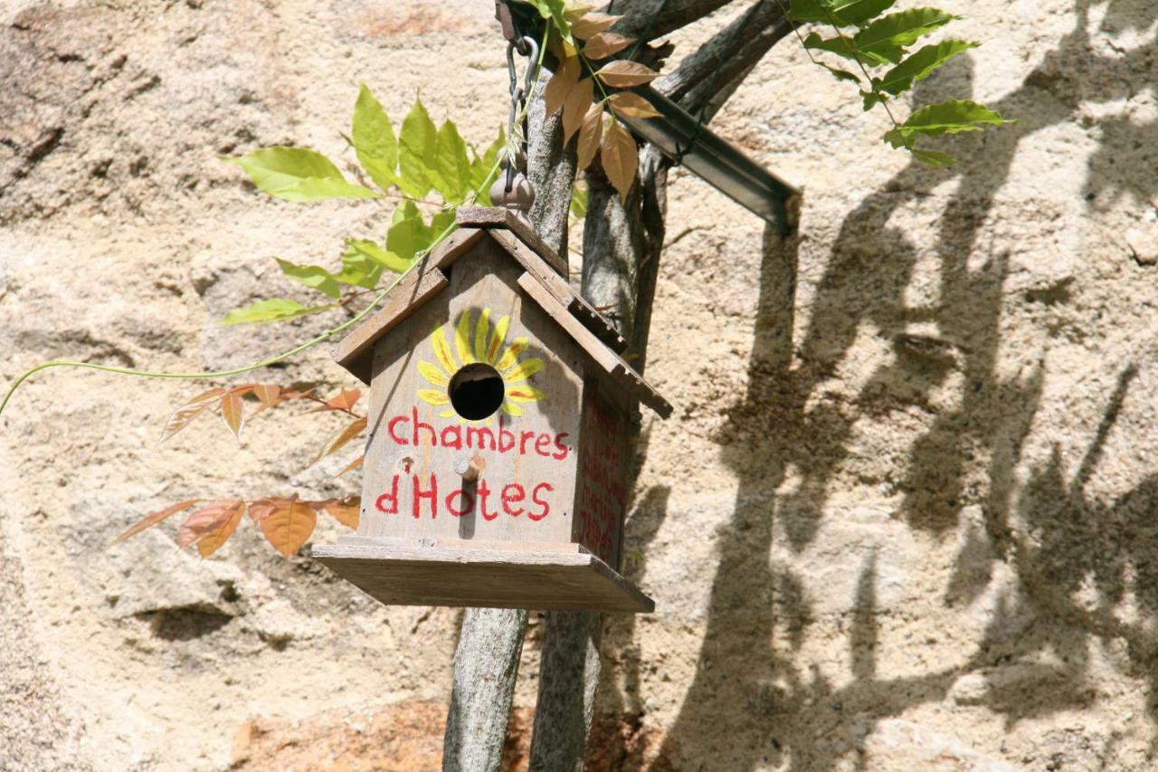 Domaine Les Teuilleres Bed & Breakfast Lacam-d'Ourcet Ngoại thất bức ảnh